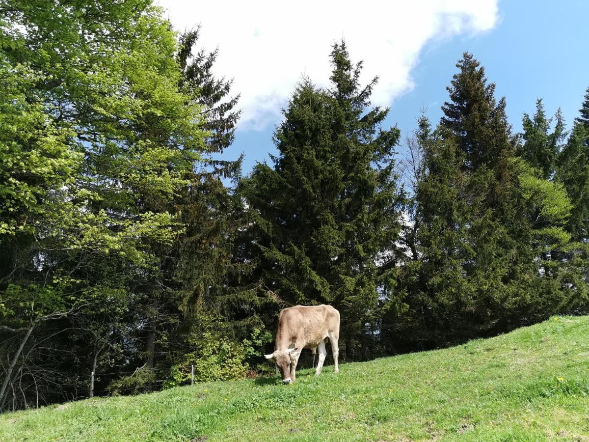 Allgaeuer Ausblick Missen-Wilhams Exterior foto
