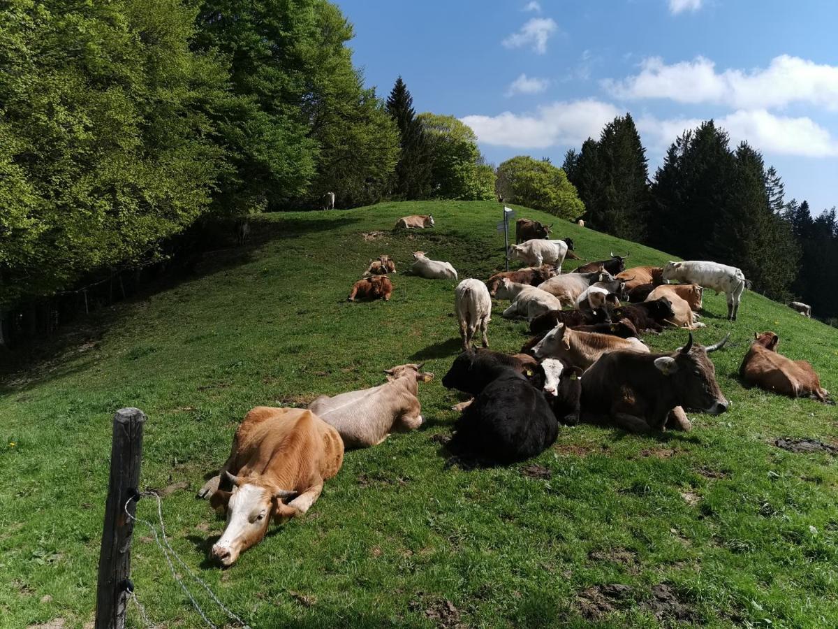 Allgaeuer Ausblick Missen-Wilhams Exterior foto
