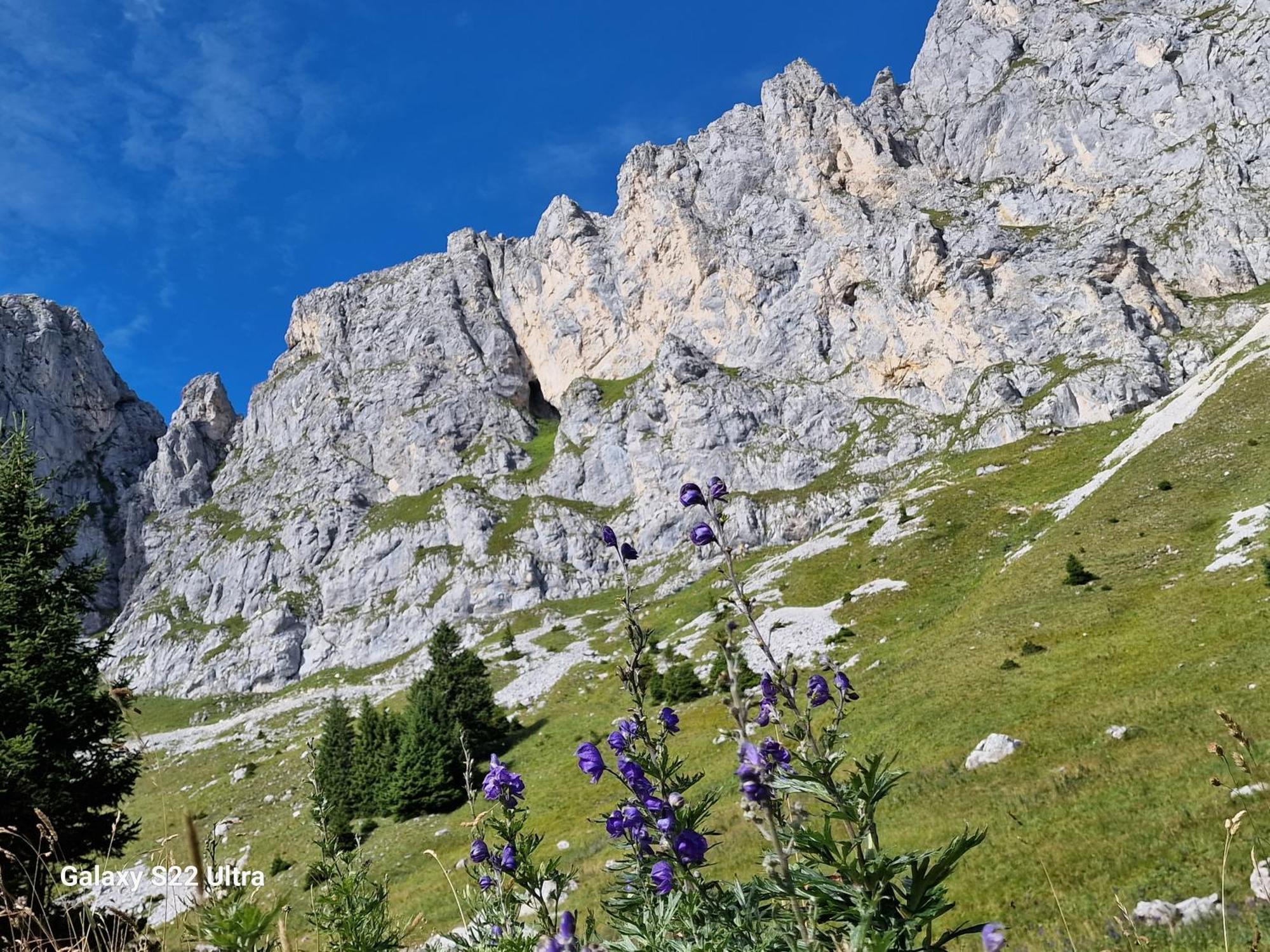 Allgaeuer Ausblick Missen-Wilhams Exterior foto